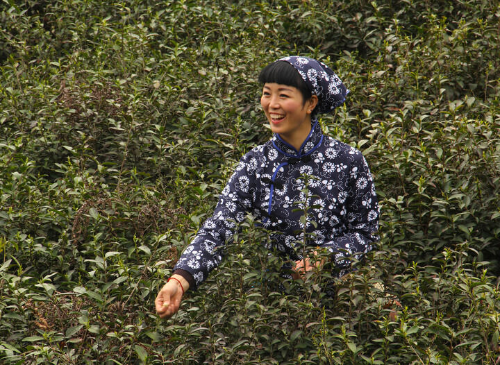 情欲剧场